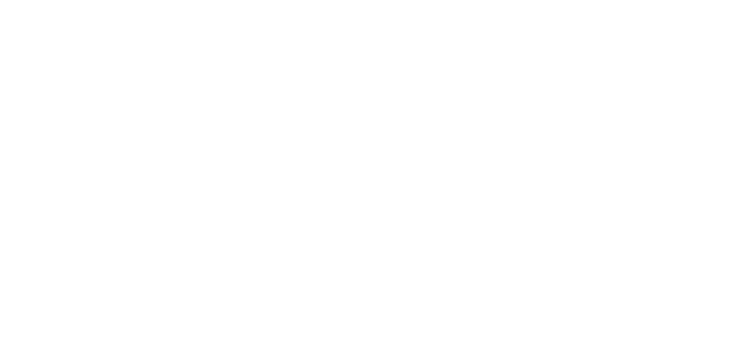 Rygor Rentals White & White