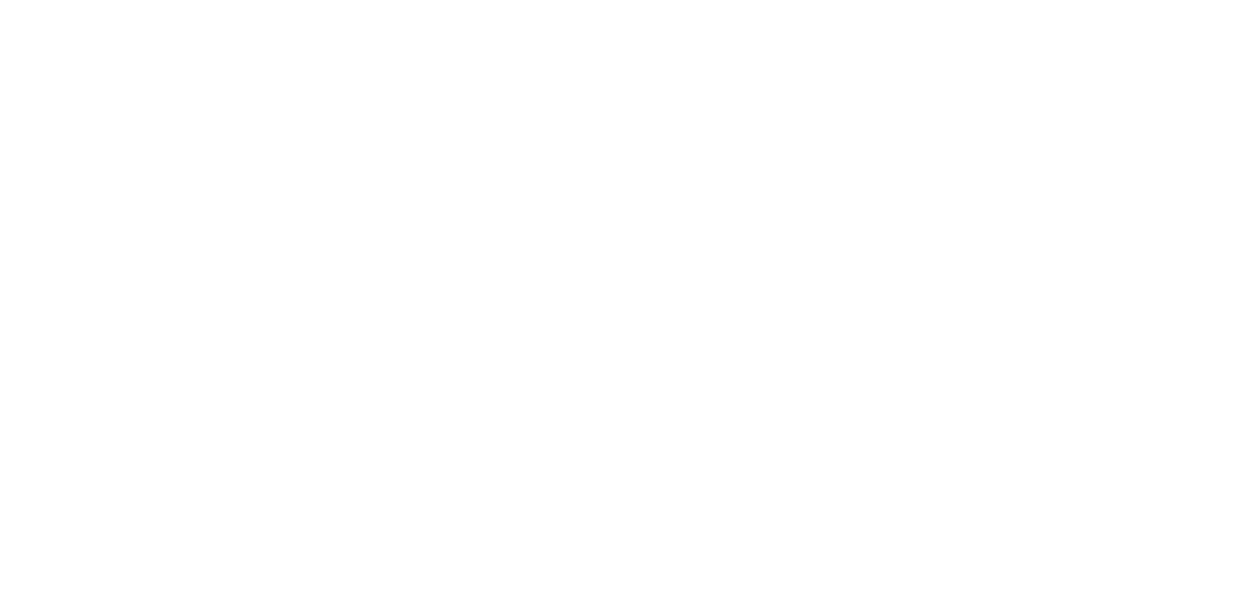 Rygor Rentals White & White