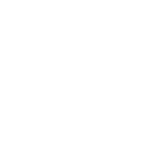 Dealer Backed Support